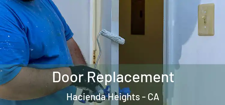Door Replacement Hacienda Heights - CA