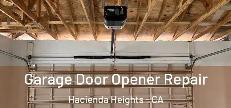  Garage Door Opener Repair Hacienda Heights - CA